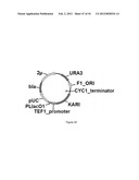 ENGINEERED MICROORGANISMS CAPABLE OF PRODUCING TARGET COMPOUNDS UNDER     ANAEROBIC CONDITIONS diagram and image