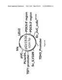 ENGINEERED MICROORGANISMS CAPABLE OF PRODUCING TARGET COMPOUNDS UNDER     ANAEROBIC CONDITIONS diagram and image