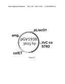 ENGINEERED MICROORGANISMS CAPABLE OF PRODUCING TARGET COMPOUNDS UNDER     ANAEROBIC CONDITIONS diagram and image