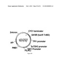 ENGINEERED MICROORGANISMS CAPABLE OF PRODUCING TARGET COMPOUNDS UNDER     ANAEROBIC CONDITIONS diagram and image