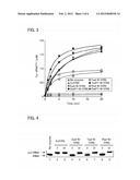 POLYPEPTIDE HAVING ACTIVITY OF AMINOACYL-tRNA SYNTHETASE AND USE THEREOF diagram and image