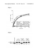 POLYPEPTIDE HAVING ACTIVITY OF AMINOACYL-tRNA SYNTHETASE AND USE THEREOF diagram and image