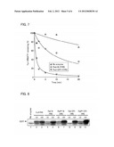 POLYPEPTIDE HAVING ACTIVITY OF AMINOACYL-tRNA SYNTHETASE AND USE THEREOF diagram and image