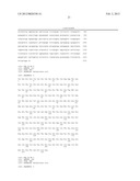 POLYPEPTIDE HAVING ACTIVITY OF AMINOACYL-tRNA SYNTHETASE AND USE THEREOF diagram and image