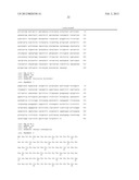 POLYPEPTIDE HAVING ACTIVITY OF AMINOACYL-tRNA SYNTHETASE AND USE THEREOF diagram and image