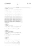 POLYPEPTIDE HAVING ACTIVITY OF AMINOACYL-tRNA SYNTHETASE AND USE THEREOF diagram and image