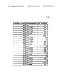 MULTIPLE RNA POLYMERASE III PROMOTER EXPRESSION CONSTRUCTS diagram and image