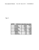 MULTIPLE RNA POLYMERASE III PROMOTER EXPRESSION CONSTRUCTS diagram and image