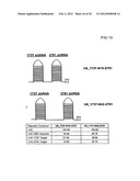 MULTIPLE RNA POLYMERASE III PROMOTER EXPRESSION CONSTRUCTS diagram and image