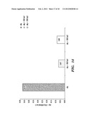 MULTIPLE RNA POLYMERASE III PROMOTER EXPRESSION CONSTRUCTS diagram and image