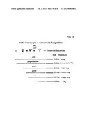 MULTIPLE RNA POLYMERASE III PROMOTER EXPRESSION CONSTRUCTS diagram and image