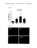 PRODUCTION PROCESS OF GENDER-SPECIFIC SERUM AND BIOMARKER USING THE SERUM diagram and image