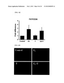 PRODUCTION PROCESS OF GENDER-SPECIFIC SERUM AND BIOMARKER USING THE SERUM diagram and image