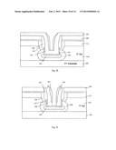 Inverted-trench grounded-source FET structure using conductive substrates,     with highly doped substrates diagram and image