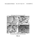 Methods For Producing Nanoparticles Using Palladium Salt And Uses Thereof diagram and image