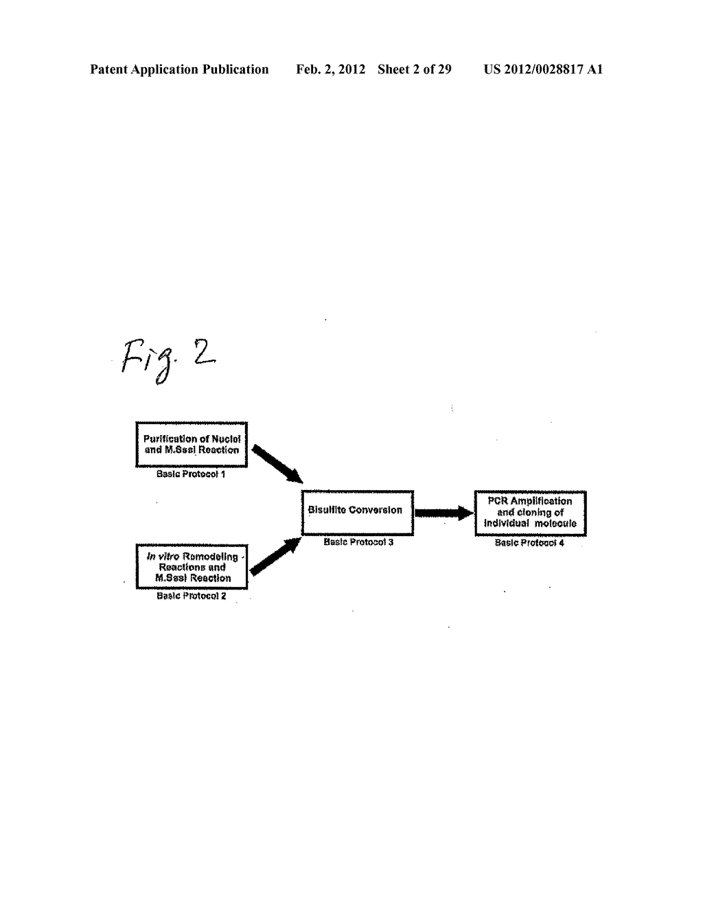 Methods and Kits for Genome-Wide Methylation of GpC Sites and Genome-Wide     Determination of Chromatin Structure - diagram, schematic, and image 03