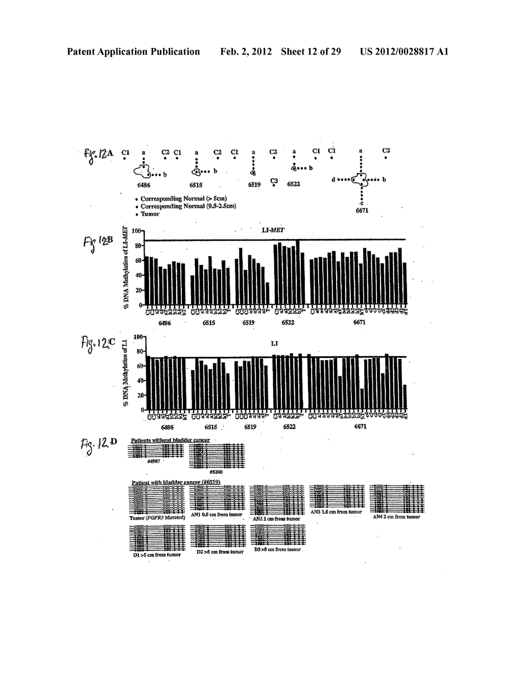 Methods and Kits for Genome-Wide Methylation of GpC Sites and Genome-Wide     Determination of Chromatin Structure - diagram, schematic, and image 13