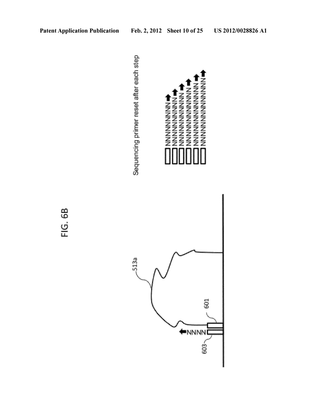 Methods and Compositions for Analysis of Nucleic Acids - diagram, schematic, and image 11