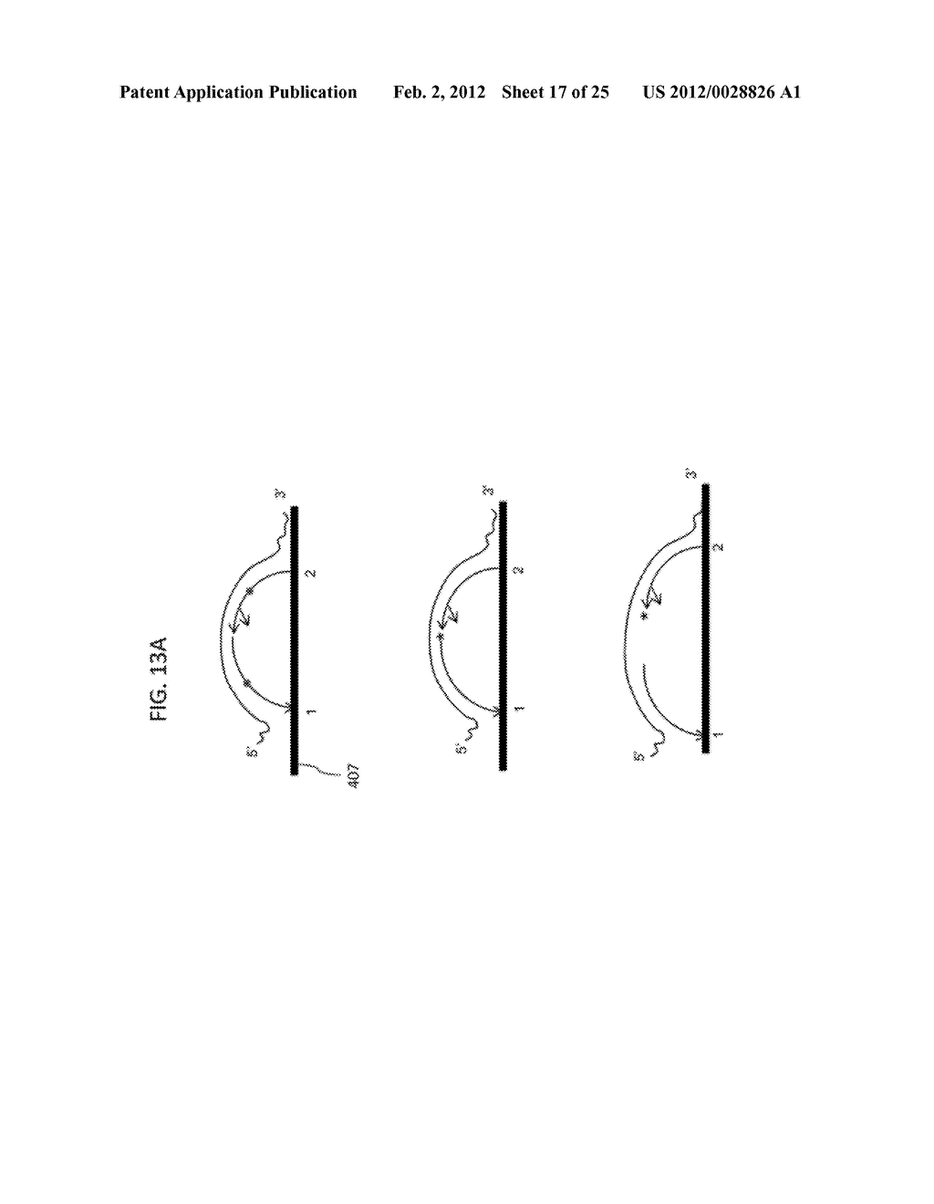 Methods and Compositions for Analysis of Nucleic Acids - diagram, schematic, and image 18