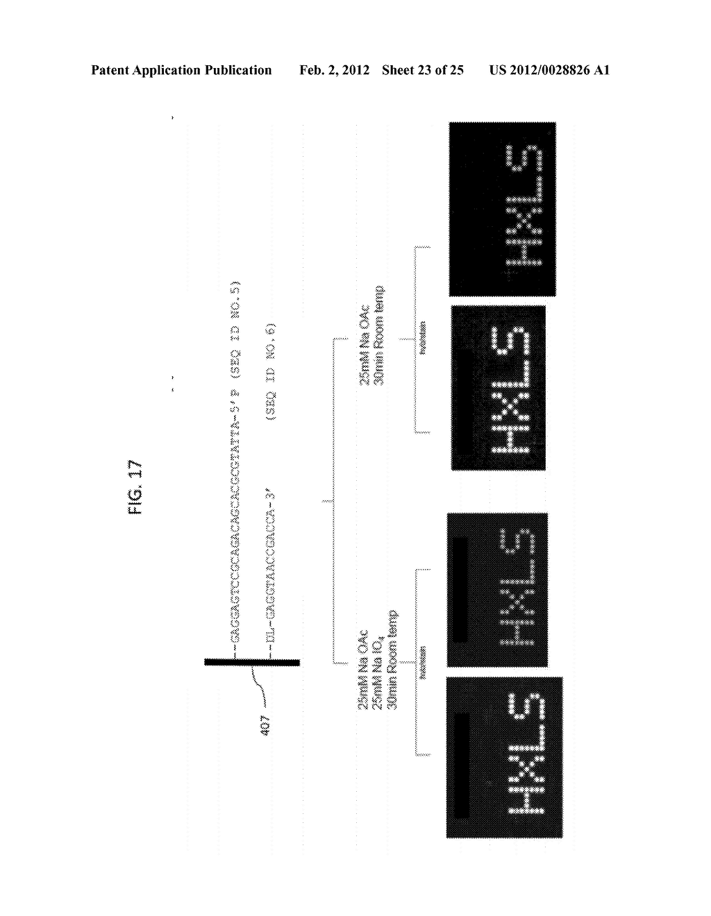 Methods and Compositions for Analysis of Nucleic Acids - diagram, schematic, and image 24