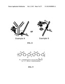 Fluorescent Methods and Materials for Directed Biomarker Signal     Amplification diagram and image