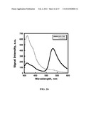 Fluorescent Methods and Materials for Directed Biomarker Signal     Amplification diagram and image