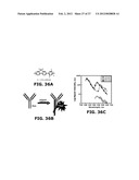 Fluorescent Methods and Materials for Directed Biomarker Signal     Amplification diagram and image