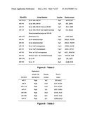 MiR-29-BASED METHODS FOR THE DIAGNOSIS AND PROGNOSIS OF ACUTE MYELOID     LEUKEMIA (AML) diagram and image