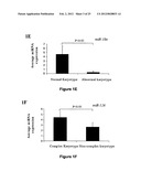 MiR-25-BASED METHODS FOR THE DIAGNOSIS AND PROGNOSIS OF ACUTE MYELOID     LEUKEMIA (AML) diagram and image