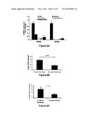 MiR-25-BASED METHODS FOR THE DIAGNOSIS AND PROGNOSIS OF ACUTE MYELOID     LEUKEMIA (AML) diagram and image