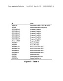 MiR-25-BASED METHODS FOR THE DIAGNOSIS AND PROGNOSIS OF ACUTE MYELOID     LEUKEMIA (AML) diagram and image