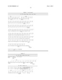 FOCUSED LIBRARIES OF GENETIC PACKAGES diagram and image