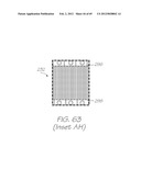 GENETIC ANALYSIS LOC WITH HYBRIDIZATION ARRAY WITH POSITIVE CONTROL     CHAMBERS INCORPORATING PROBES THAT HYBRIDIZE FOR ANY AMPLICON diagram and image