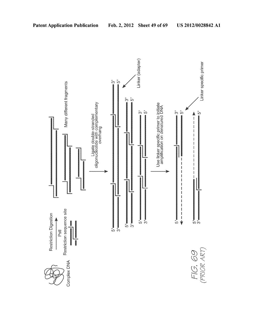 GENETIC ANALYSIS LOC WITH HYBRIDIZATION ARRAY WITH POSITIVE CONTROL     CHAMBERS INCORPORATING PROBES THAT HYBRIDIZE FOR ANY AMPLICON - diagram, schematic, and image 50