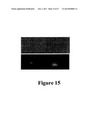 MICROWAVE ACCELERATED ASSAYS diagram and image