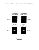 MICROWAVE ACCELERATED ASSAYS diagram and image