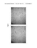 METHOD FOR REMOVING ENDOTOXIN FROM PROTEINS diagram and image