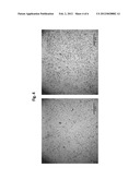 METHOD FOR REMOVING ENDOTOXIN FROM PROTEINS diagram and image