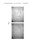 METHOD FOR REMOVING ENDOTOXIN FROM PROTEINS diagram and image