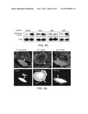 METHODS AND COMPOSITIONS USING OXIDIZED PHOSPHOLIPIDS diagram and image