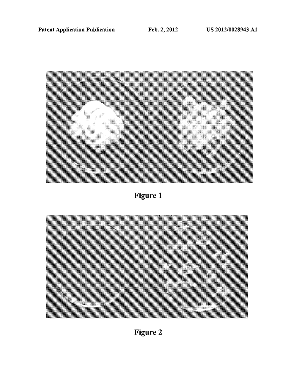 Medicinal Cream Made Using Fluticasone Propionate And Chitosan And A     Process To Make The Same - diagram, schematic, and image 02