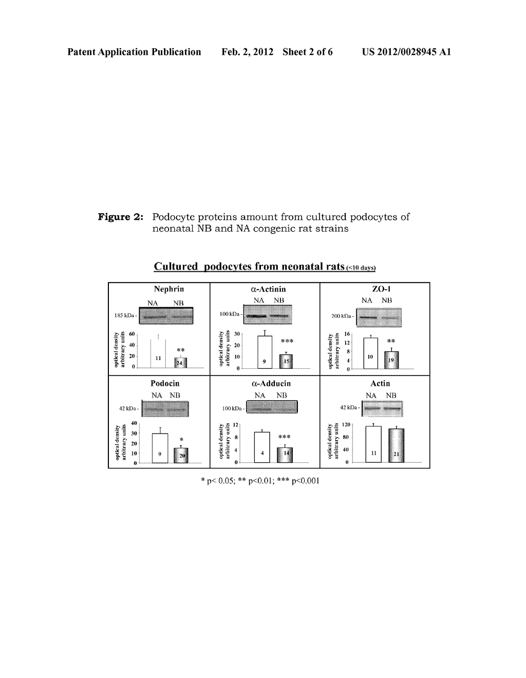 5-Beta, 14-Beta-Androstane Derivatives Useful For The Treatment Of     Proteinuria, Glomerulosclerosis And Renal Failure - diagram, schematic, and image 03