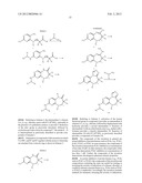 PROTEIN KINASE INHIBITORS diagram and image