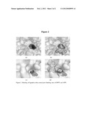 NOVEL COMPOUNDS FOR MEDICAL USE AS PEPTIDASE EFFECTORS diagram and image