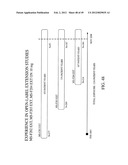 COMPOSITIONS AND METHODS FOR EXTENDED THERAPY WITH AMINOPYRIDINES diagram and image