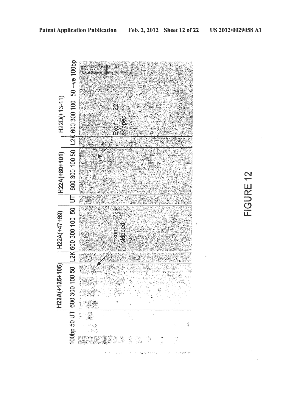 Antisense Oligonucleotides for Inducing Exon Skipping and Methods of Use     Thereof - diagram, schematic, and image 13