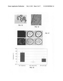 Interior functionalized hyperbranched dendron-conjugated nanoparticles and     uses thereof diagram and image