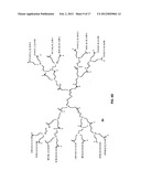 Interior functionalized hyperbranched dendron-conjugated nanoparticles and     uses thereof diagram and image