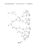 Interior functionalized hyperbranched dendron-conjugated nanoparticles and     uses thereof diagram and image