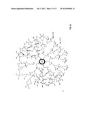 Interior functionalized hyperbranched dendron-conjugated nanoparticles and     uses thereof diagram and image